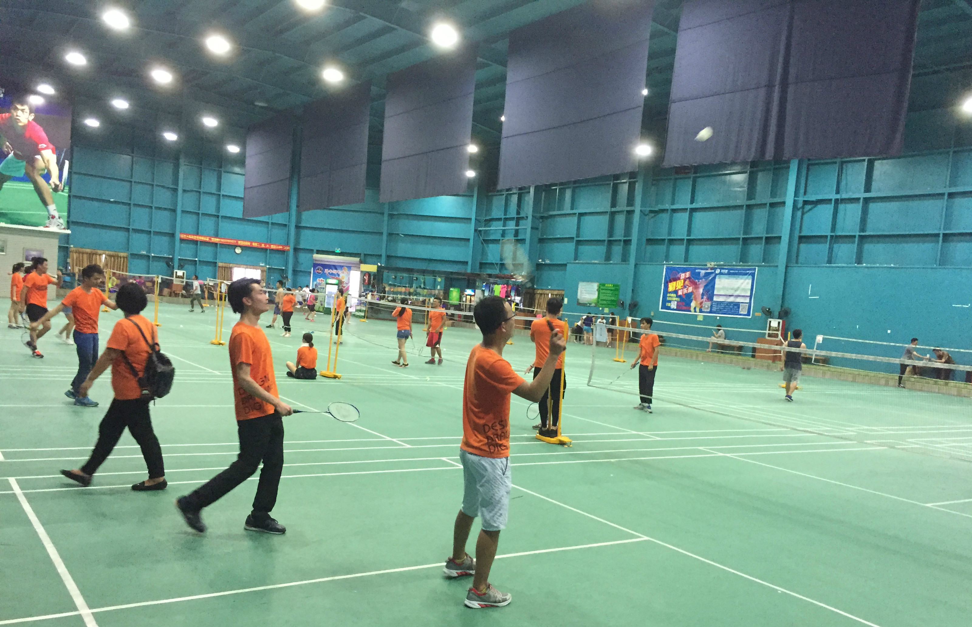 这些精心的 这些精心的