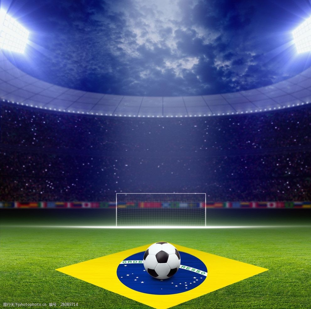 可能会处以 可能会处以